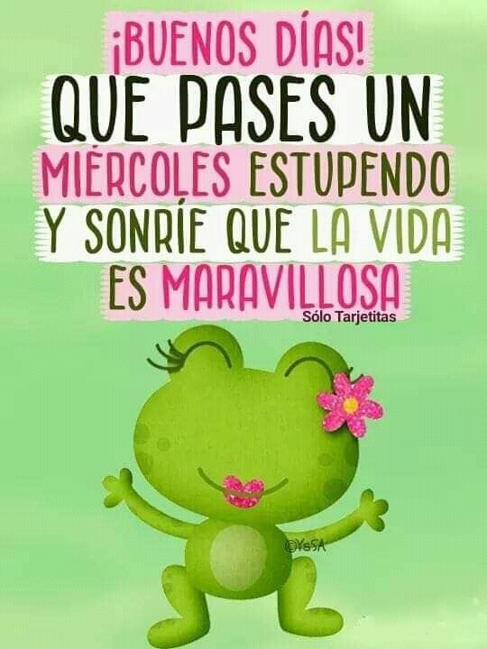 RAUL_MEJIA1's tweet photo. Muy buenos dรญas a todos los miembros del ministerio de trolles, seres รฉteres y hologramas!!!! Que tengan un hermoso dรญa...!!!
#SITRATROLL en pie de lucha ๐๐ป ๐๐ป ๐๐ป ๐๐ป https://t.co/OamcZrrnB8