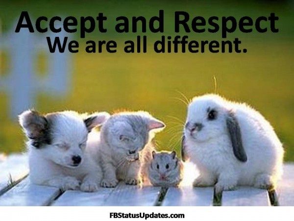 jodi_girard218's tweet photo. October kicks off the Month of Respect here at MMS! Respect everyone regardless of our differences! @MarlboroMiddle https://t.co/pDZhrgybUd