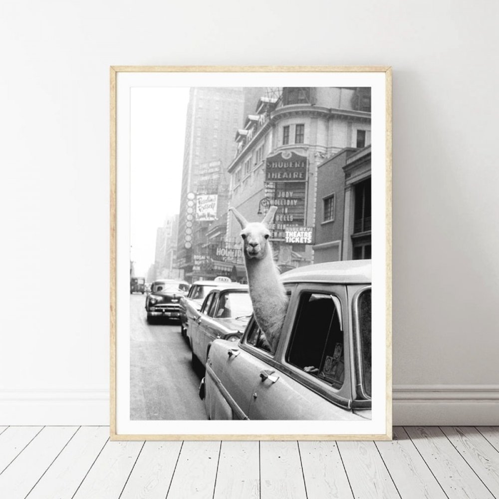 #wakaworld "Lama in New York City" Decorative Picture