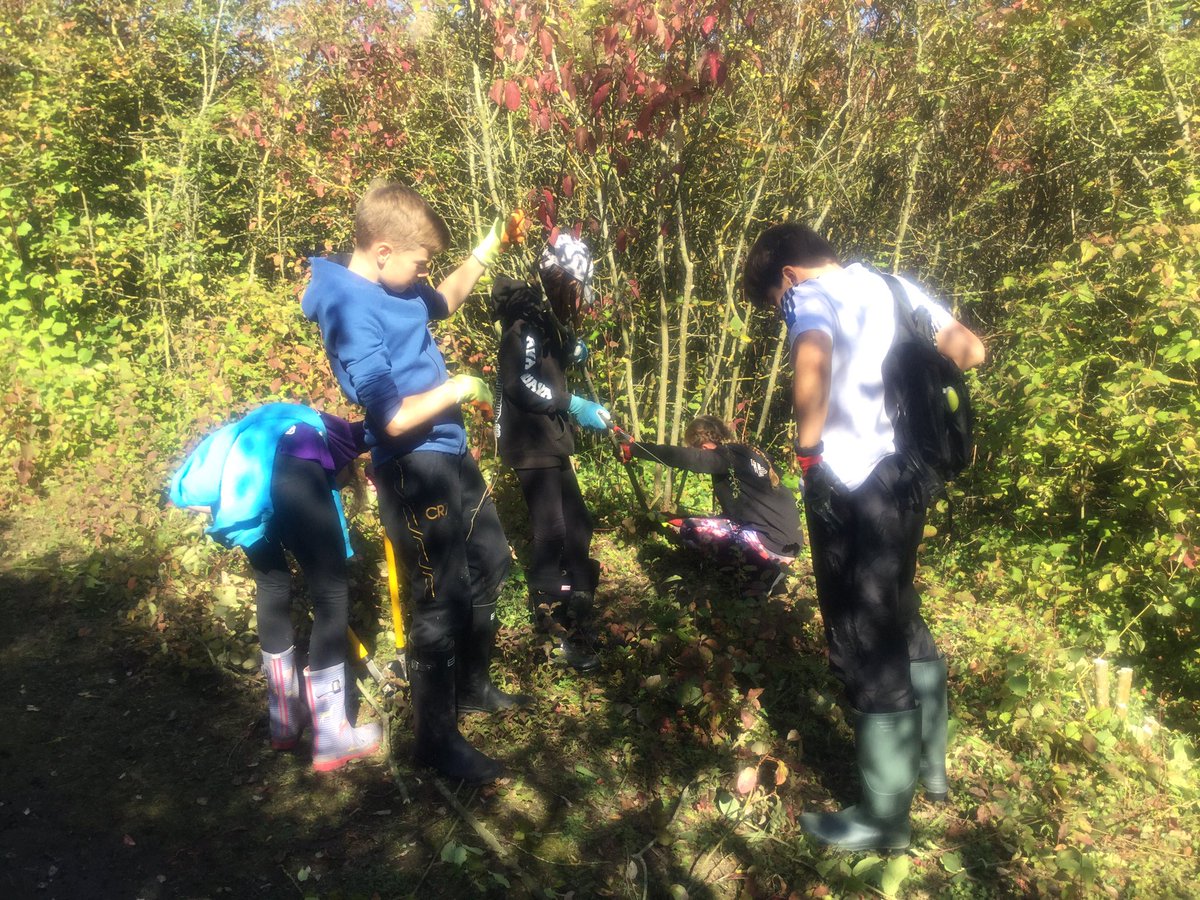 RH7 Lower School tweet media