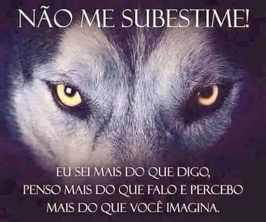 LucasIvandro tweet picture