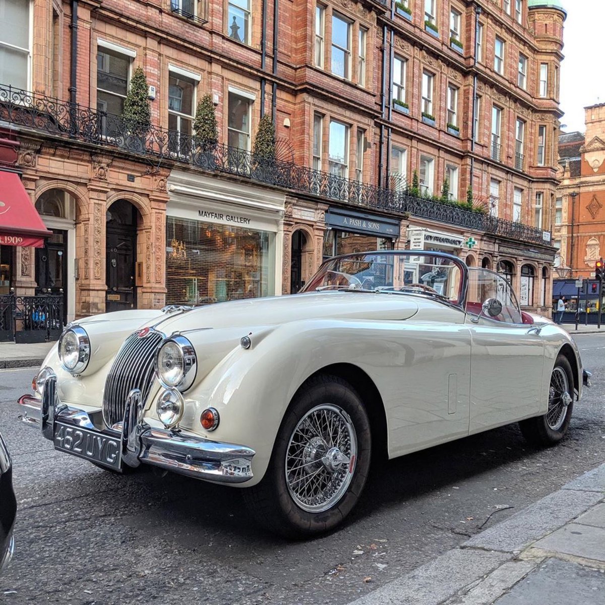 A.M. Capurro tweet media