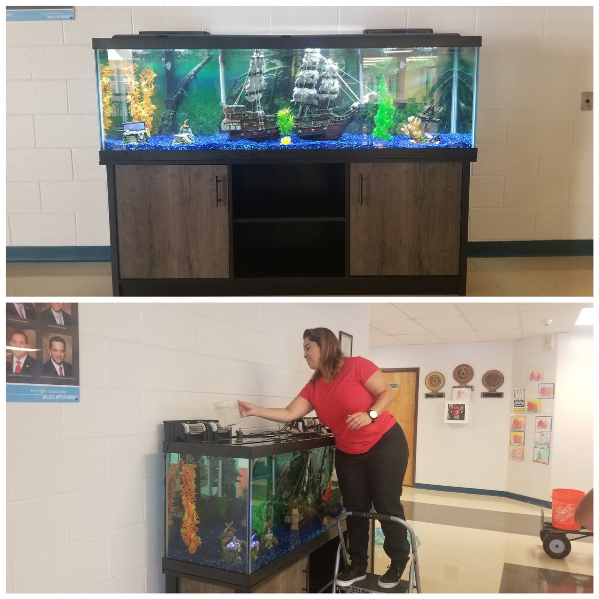 MHerna_MCE's tweet image. Props to our AMAZING counselor, Ms. Calderon for setting up this BEAUTIFUL aquarium in our MCE foyer! #ourcounseloristhebest
#learningtakesflight 🤗😬