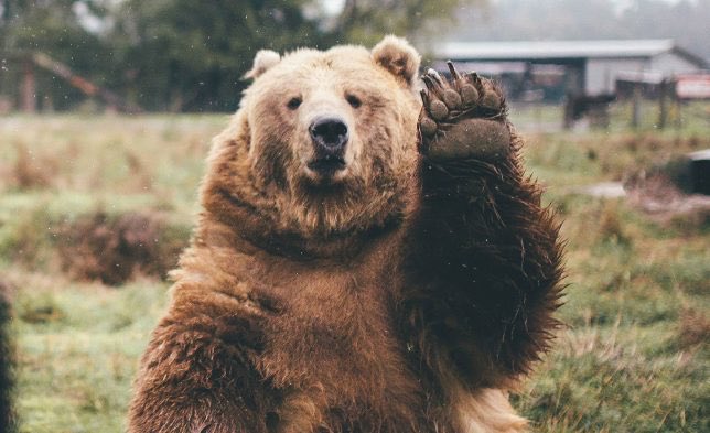 TalkToFrankieT's tweet photo. FTSE down 3%, S&amp;P down 2%. Are we seeing the start of the bear market? We’ve been here many times over the past decade but the contraction in US manufacturing is an entirely different prospect. #TradeWar #BearMarket https://t.co/Au4yAm7Zbi