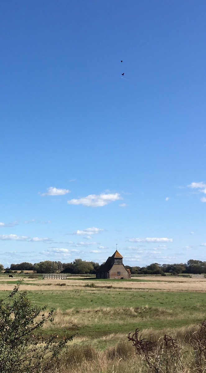 BayleWindow's tweet image. Trying to stay in the present at Fairfield on this beautiful, blowy day.