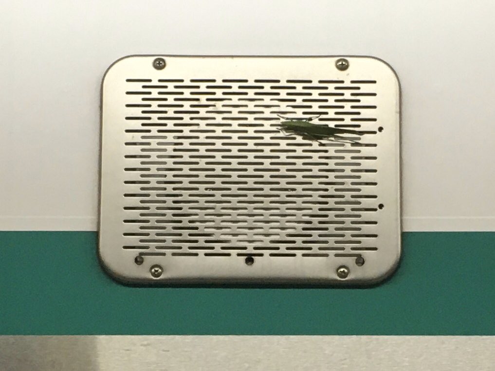 ◤にーた◢ 2020系の車外スピーカーにバッタ