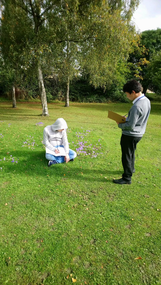 GC_Workskills_SFL tweet media