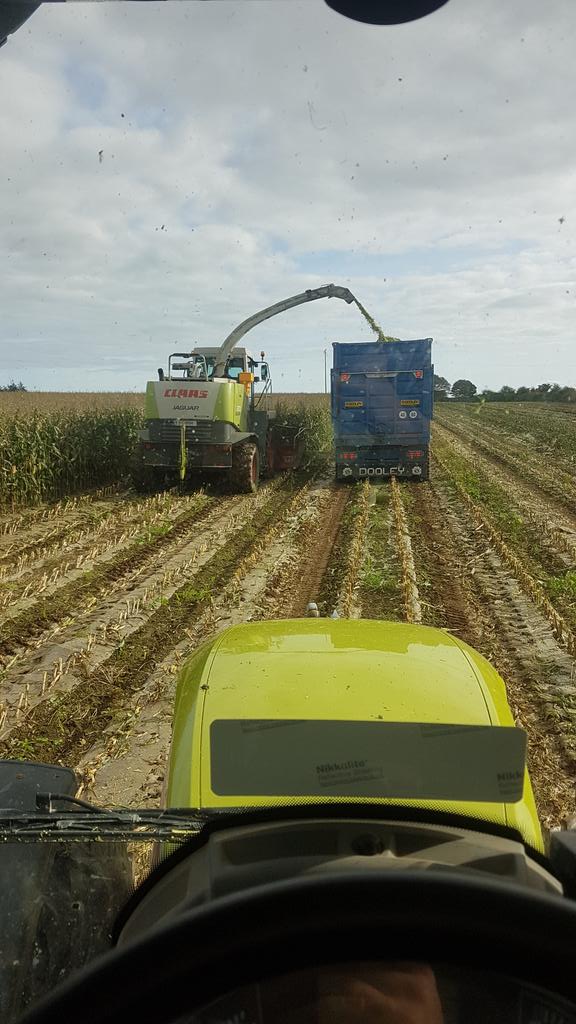 grand day for it before the storm