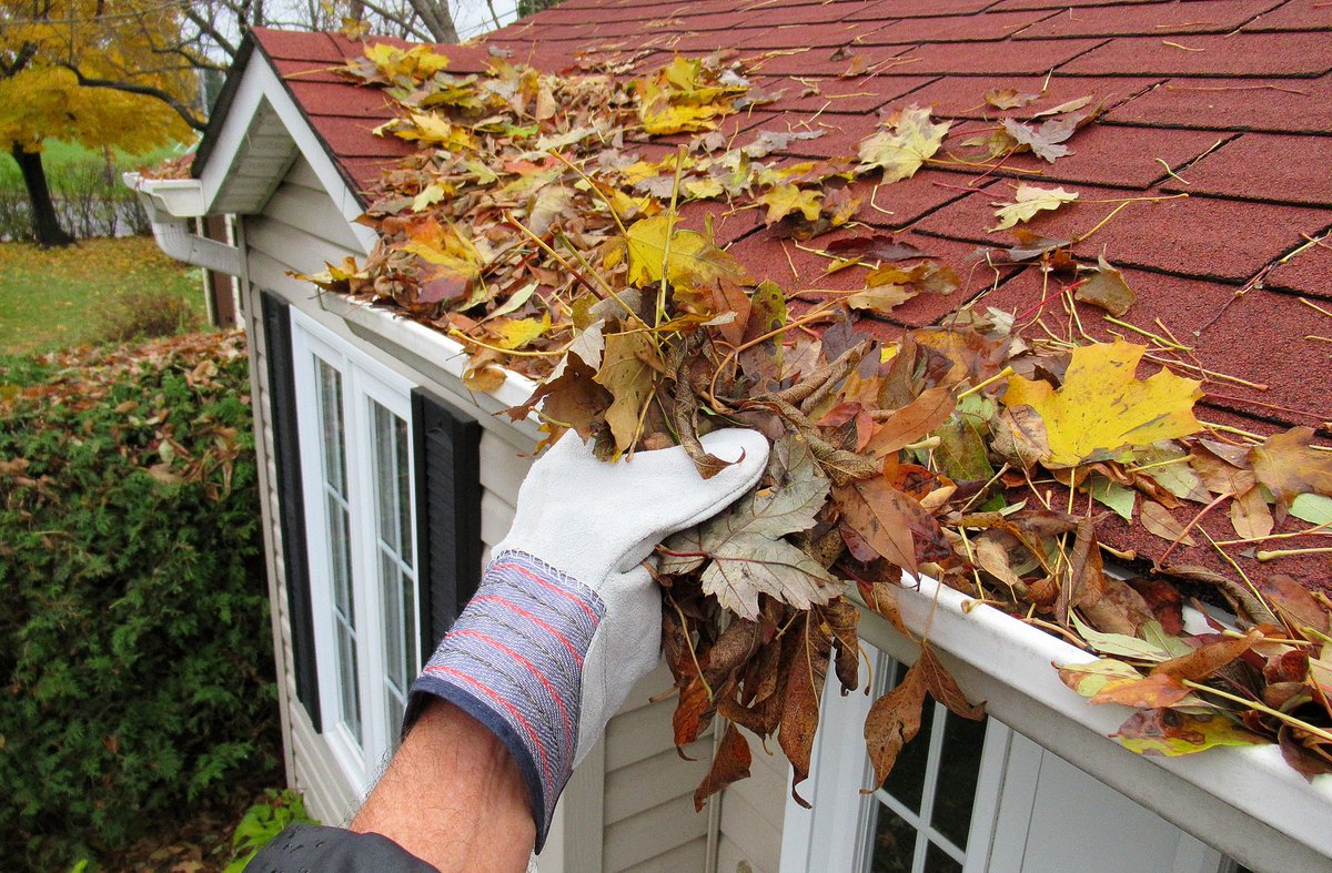 Along with the pretty colors comes leaves in your gutters. Protect your home this fall with gutter guards. kingquality.com/gutter-guards-…
#kingquality #longislandhomes #longislandcontractors #topcontractors #suffolkcountyny