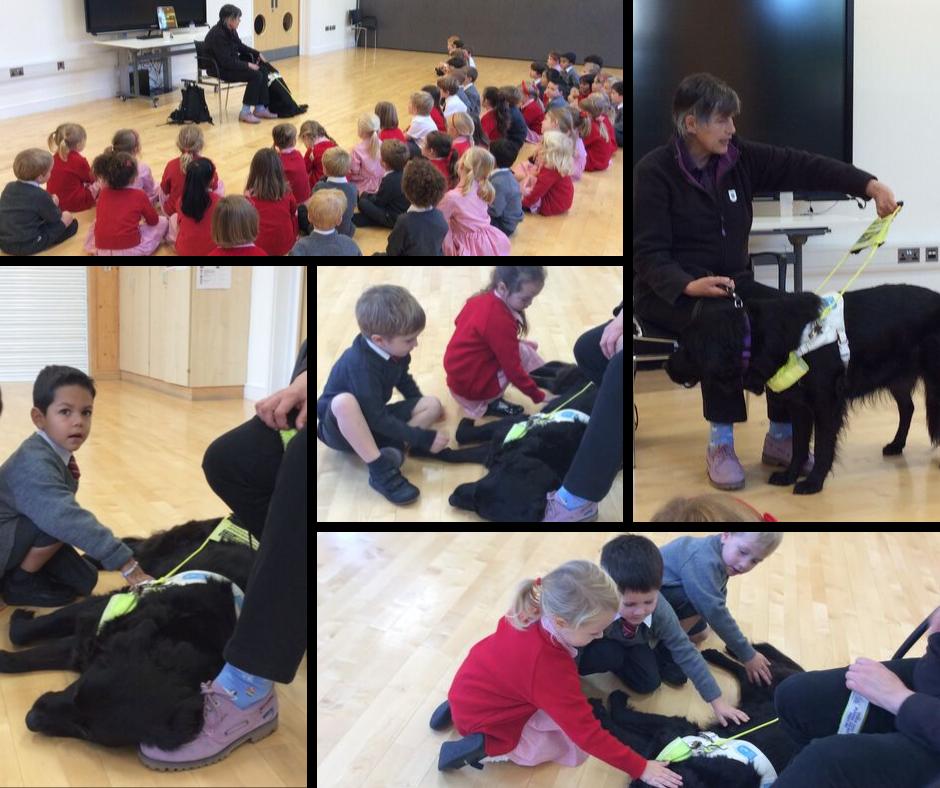 newlandhouse's tweet photo. Reception welcomed Jackie & her beautiful #guidedog Sky to the school. They loved meeting Sky & enjoyed learning about all the ways she helps Jackie to live an independent life.
The Guide Dogs for the Blind Association (UK) RNIB #independentliving #independentprep #NHSPrePrep https://t.co/OXWs6EQ8y5