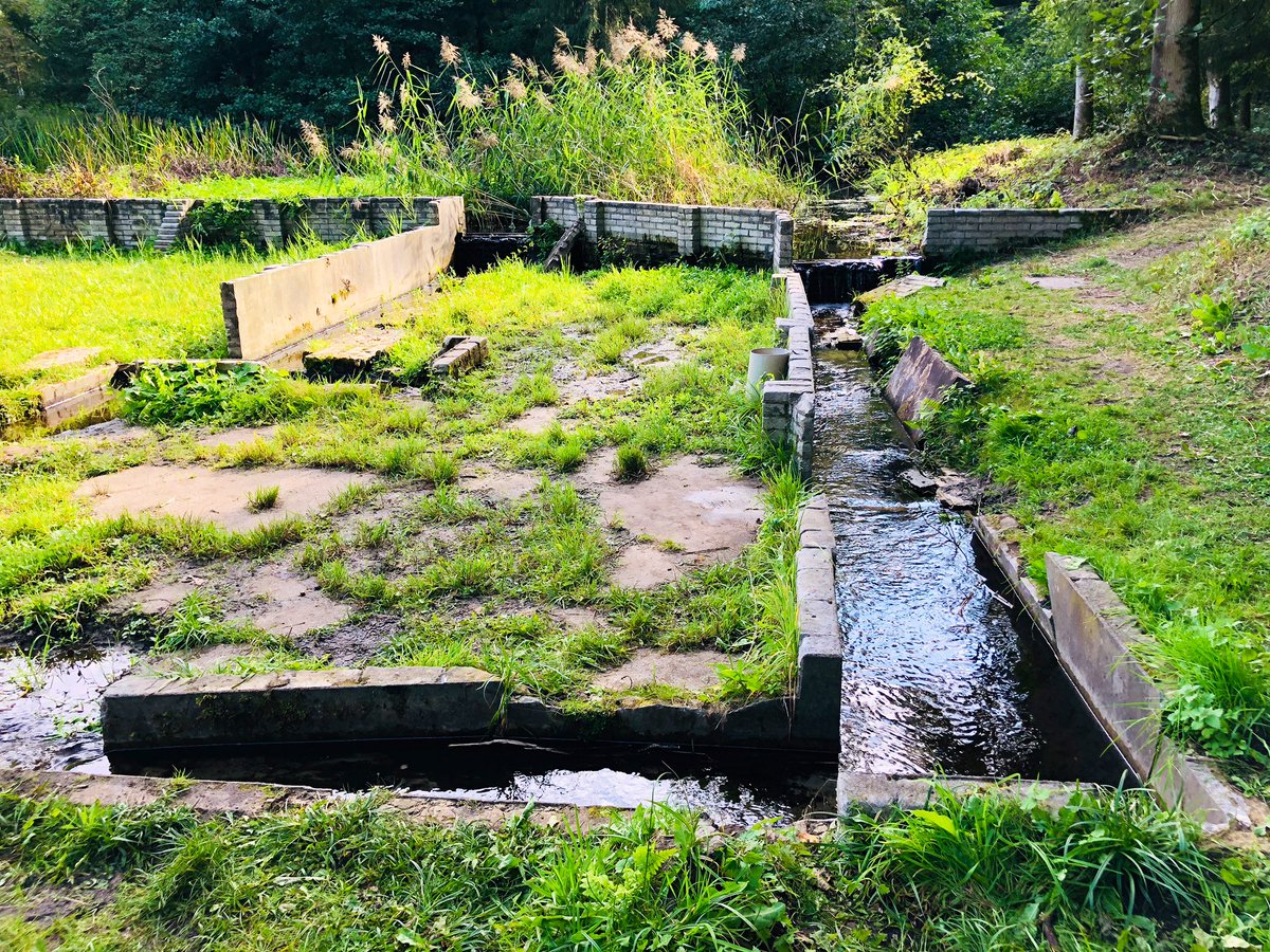 arlenstawasz's tweet photo. The Dutch have incredible history of water mgmt. On Sunday, we spent the day visiting @Waterlinies - learning how the Dutch used dikes to flood the land as protection from foreign invasion. We also saw @Natuurmonument ‘s waterloopbos - which tested the Delta Works in the 1960’s. https://t.co/4hJkM1YUDf