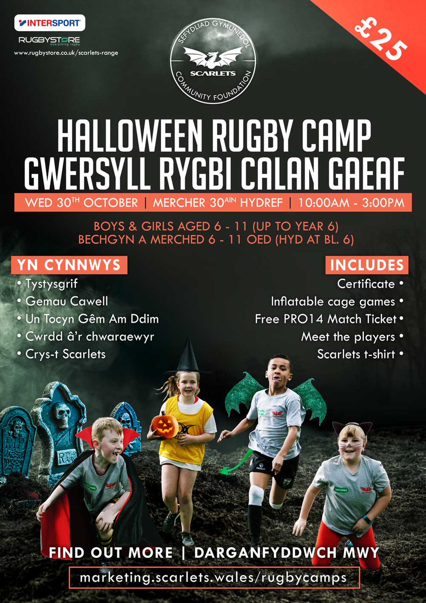 CymunedScarlets's tweet photo. HALLOWEEN CAMP | GWERSYLL CALAN GAEAF 🎃

Our spooktacular rugby camp is returning this Halloween, 30th of October for a fun-filled day for all! 
👻 Certificate
👻 Inflatable Cage Games
👻 Free PRO14 Match Ticket
👻 Meet the Players
👻 Scarlets T-shirt

➡️https://t.co/e9OEN7cP6G https://t.co/YMPufgCqQt