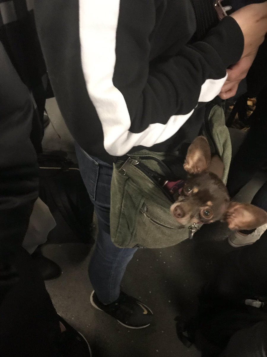 Moscone Center were coming...
#ilose #sf2019 #techcrunch