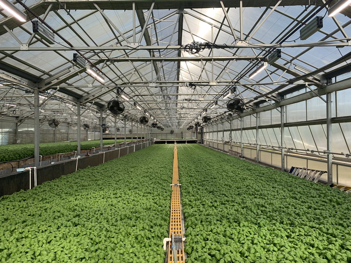 Visited Aquaculture Research and Education Laboratory (AREL) <a href="/CheyneyUniv/">Cheyney University</a> <a href="/HerbanFarms/">Herban Farms</a>, the 1st HBCU. Exciting to see a transformation and paradigm shift for a sustainable future of higher education.