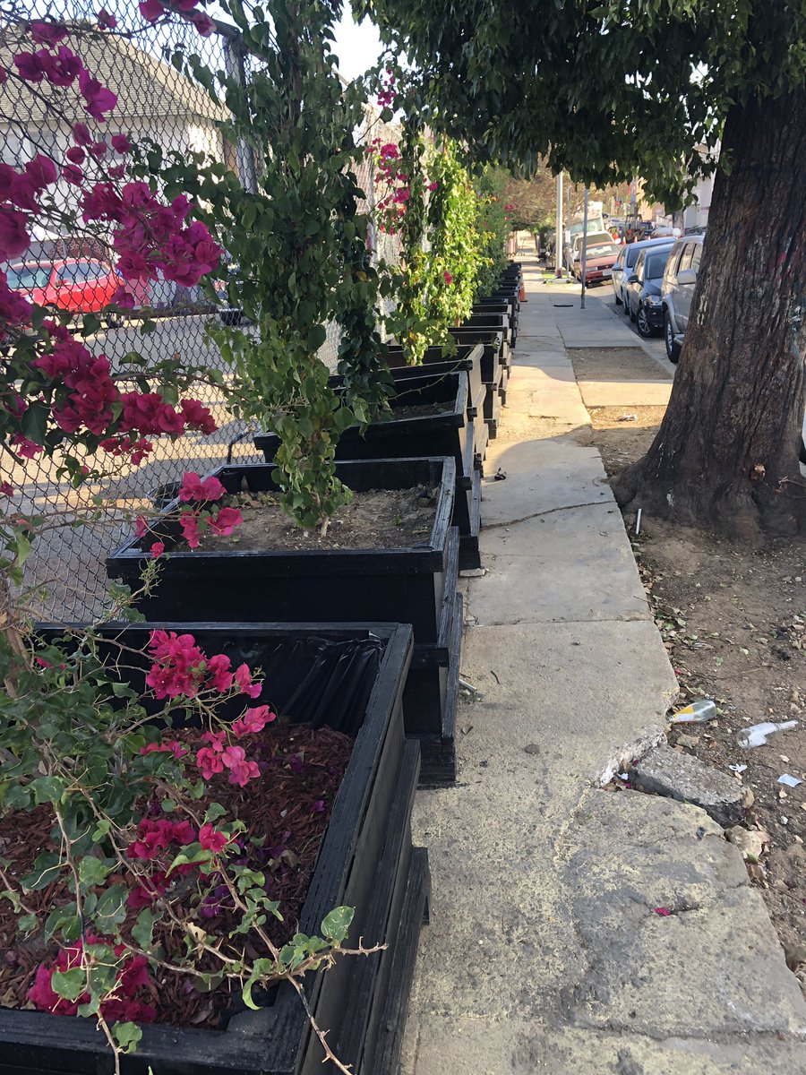 StreetWatchLA's tweet photo. Hostile planter box alert: 27 ugly boxes at 8th and S Lake st in MacArthur Park. Just one month ago an encampment was here. @cmgilcedillo what’s up with this? Doesn’t appear to be ADA compliant. @LACANetwork @VenicePlanters #ProduceThePermit #SidewalkApartheid 
#ServicesNotSweeps https://t.co/F7jvc3puTg
