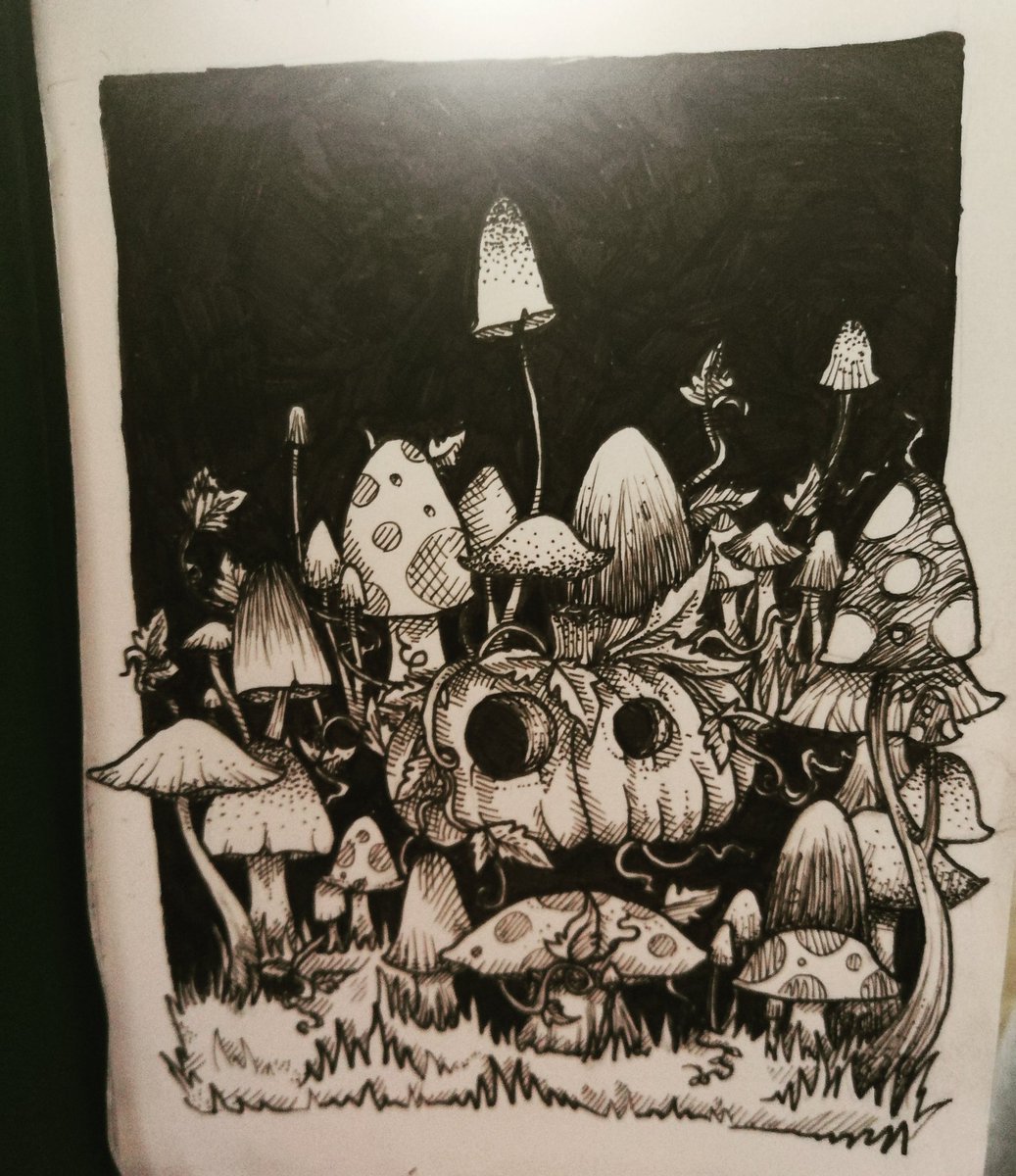 IFiddlestickI's tweet photo. #art #artist #artistsoninstagram #drawing #draw #sketchbook #sketch #doodle #pencil #pencildrawing #inktober #inktober2019 #ring #mushrooms #mushroomring https://t.co/zdnYlnXlkv