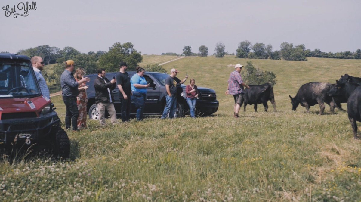 gofeastglobal's tweet photo. What's #love got to do with it?
When it comes to raising great #beef, a whole lot! That's what #chefs at @letseatyall #chefcamp learned when they visited Four Kings #Angus #farm.
How does the love make a difference? Watch and find out for yourself https://t.co/CL0ewcoOXJ https://t.co/kfQa5cxN6a
