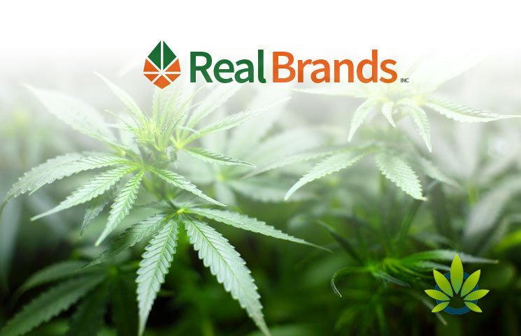 TimesofCBD's tweet photo. Real Brands (RLBD) Acquires Integrative Medicine #CBDFormulas #CBDBrands https://t.co/6Zwjfkeyh1 https://t.co/SUjscGo6eF