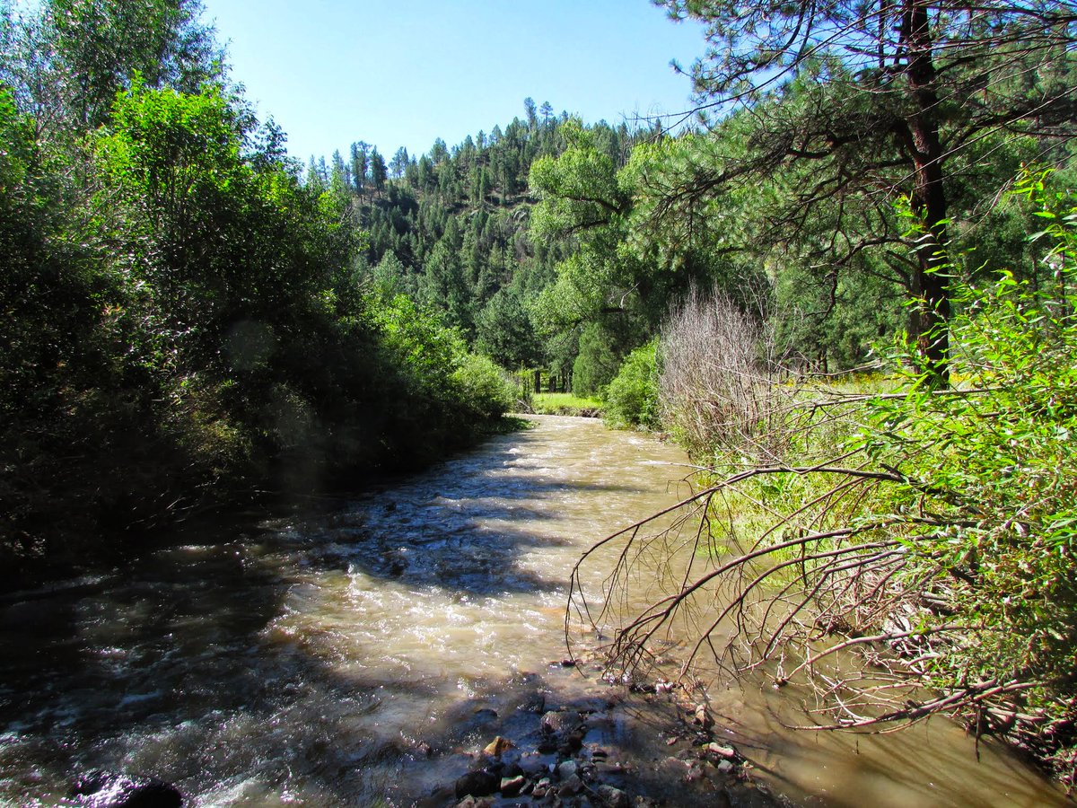 51 years ago today the Wild and Scenic Rivers Act became law. I can think of no better #WildAndScenic birthday 🎁 than @SenatorTomUdall and @MartinHeinrich introducing legislation to protect the #WildGilaRiver. Learn more: bit.ly/2nU59iK @thenewmexican @wildriversguard