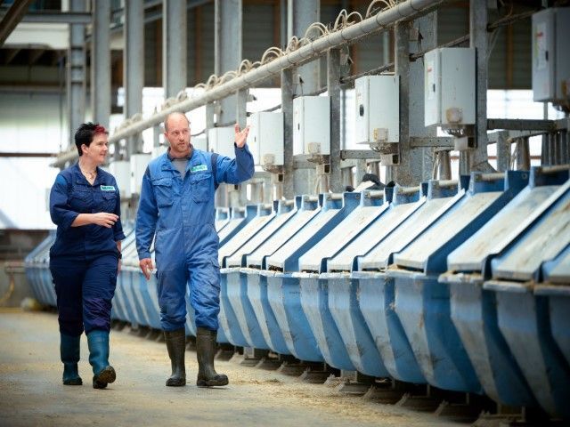 DairyCampus's tweet photo. Het programma met onderzoekers die deelnemen aan de open dag op 4 oktober op Dairy Campus is bijna compleet. Aandacht voor #beweiding #reductie uitstoot van #methaan en #ammoniak #huisvesting en #voeding. Check hier het programma en meld u snel aan. @wur https://t.co/LaBBXyitG5 https://t.co/YgXzkkzrXO