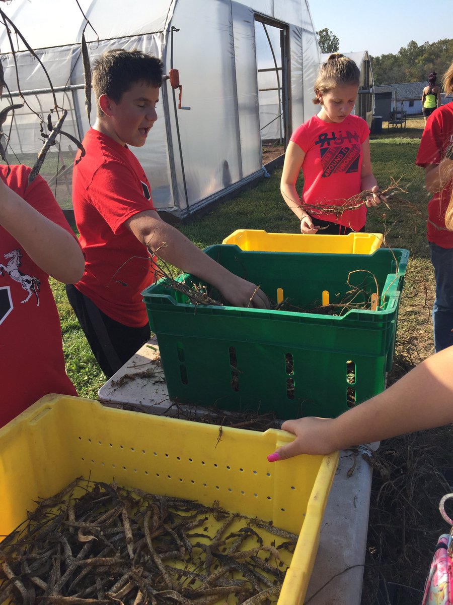 Helping out Living Hope Farm for our annual C3 Day #IndianCrestC32019