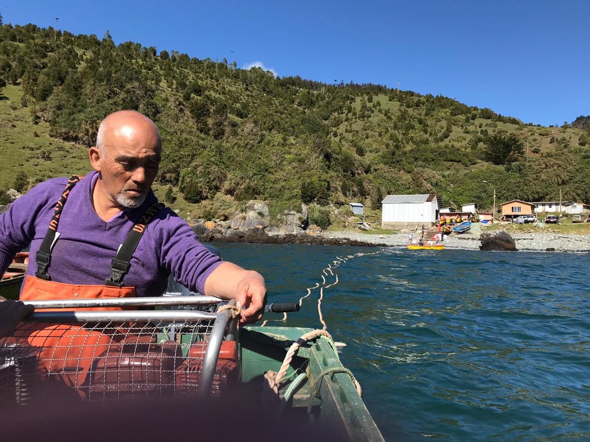 BITECMA's tweet photo. Ayer instalamos la primera línea de cultivo de #mitílidos del Sindicato de Pesc. Art. de Bonifacio. Proyecto @corporacionlosr #ACUIEXVALD en colaboración con @AcuiculturaUCN.
#Bitecma: Armando, Hugo y Juan Carlos.
#Acuicultura https://t.co/bmdTZmsl2s
