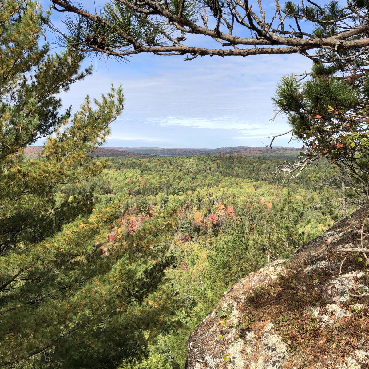 Lorry_Brandon's tweet photo. Monday on the Centennial Ridge Trail in Algonquin Park! @AlgonquinPark @Algonquin_PP @OntarioParks @HikeOntario @TourismTrails @OntarioTravel @ontrails #algonquinpark #centennialridgetrail https://t.co/t8DOirKgUc