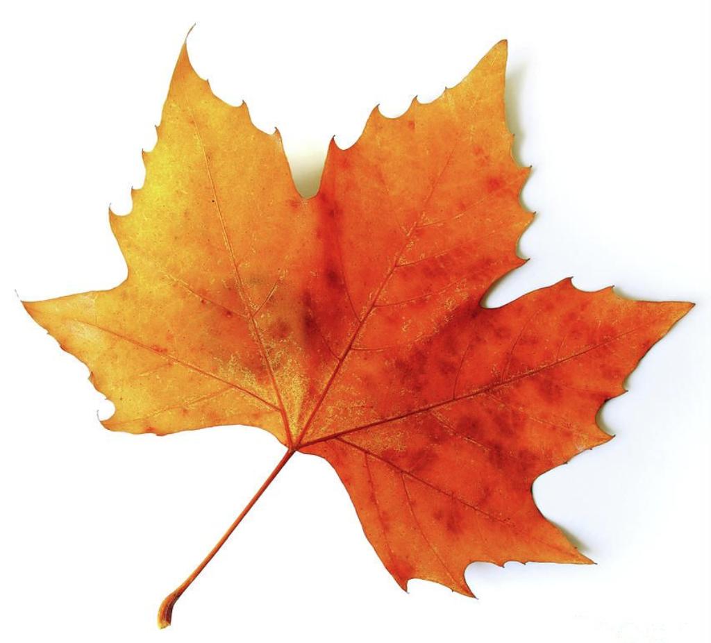 Monroe Crossing tweet media