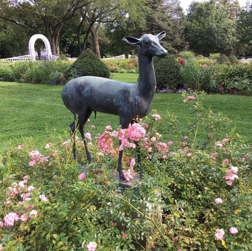 Enjoying the pretty formal gardens at Brucemore #cedarrapids #iowa #gardens