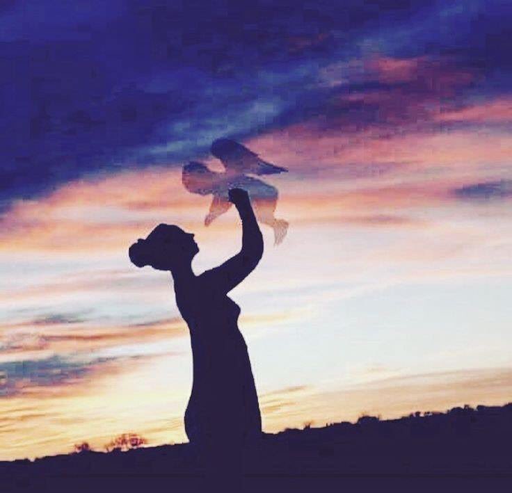 LauraLevell's tweet photo. https://t.co/4lRIvcFgMc