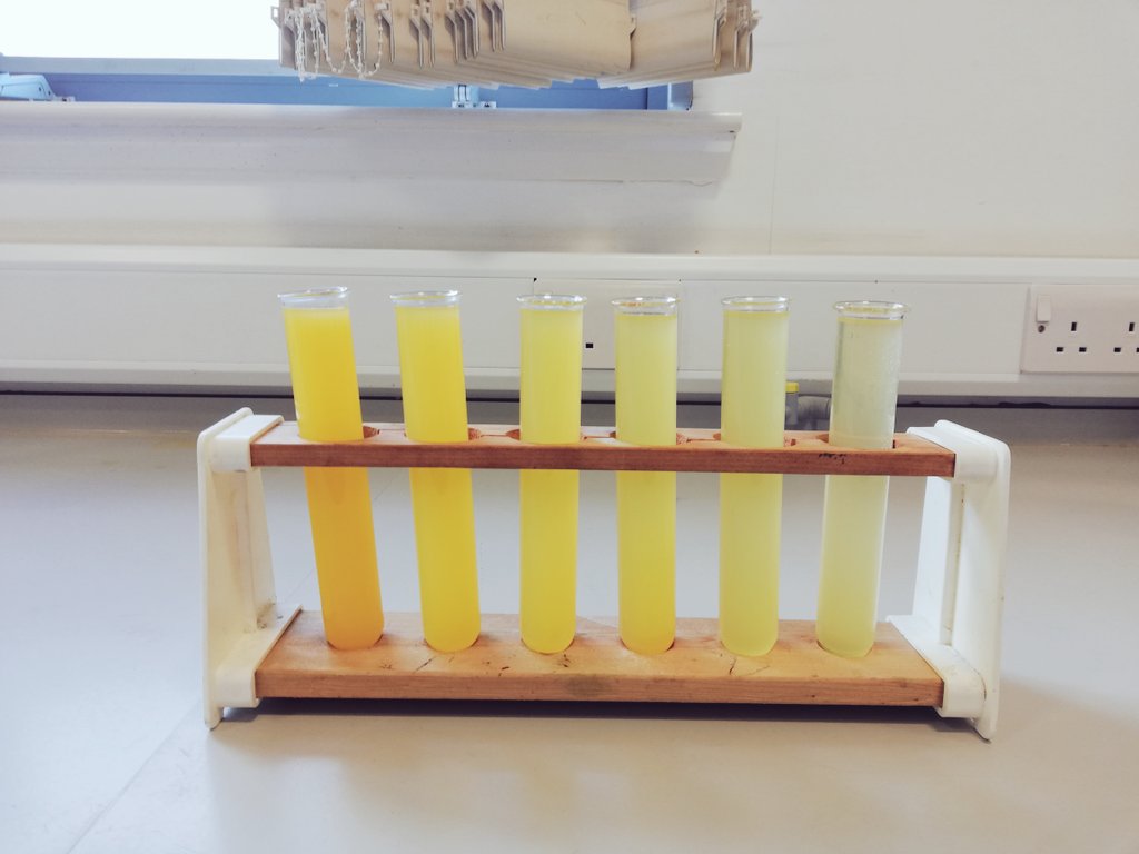 BelmontPhysics's tweet photo. Which diluted orange juice would you take? I'd be 4th from the left! #S2Science #Dilution https://t.co/2yOq7bQ0fn