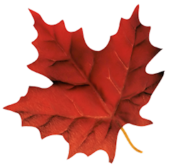MapleParkIL's tweet photo. Are you confused? Here are some excerpts from the Maple Park Municipal Code for folks that haven't gotten this information.

https://t.co/LrVBhC7kU8 https://t.co/sXUaMPhWqX