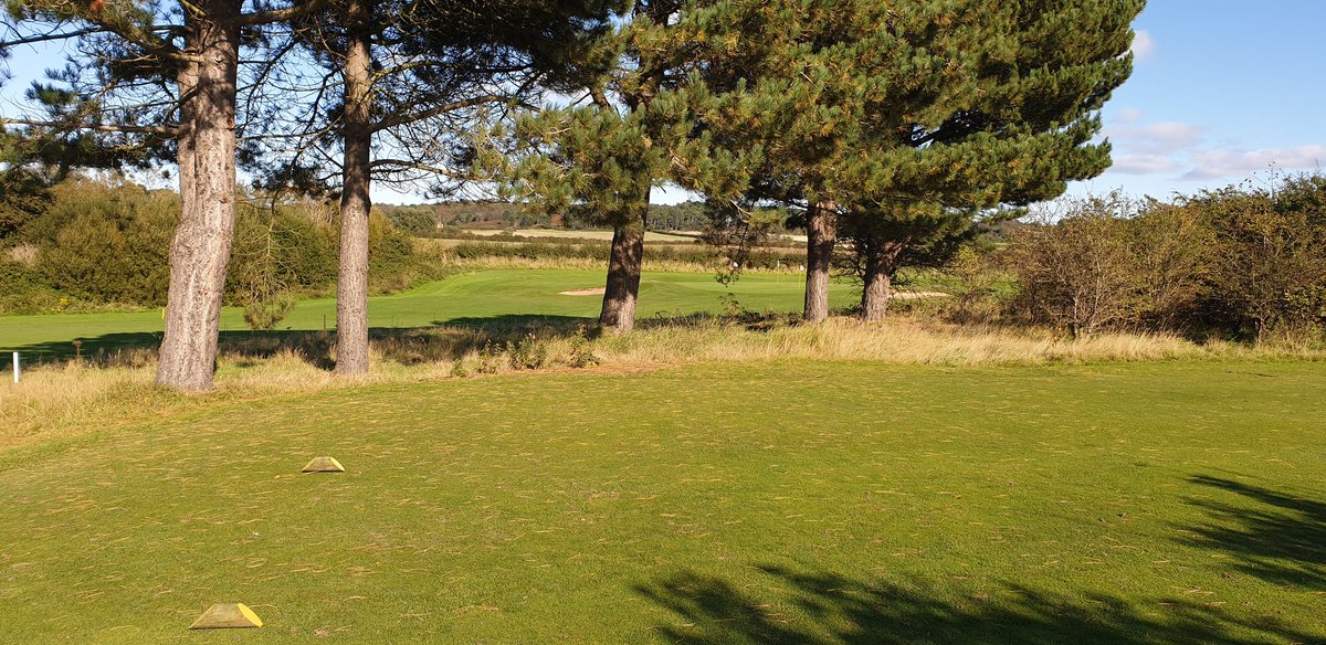 CaldygcGreens's tweet image. Do pine needles suppress turf quality? Managed most of the 2.5" semi, started tree work around the 15th tee and slit greens this morning. Started hand mowing greens this pm, finish off tomorrow. 13 hole Wednesday comp today. #dryingout