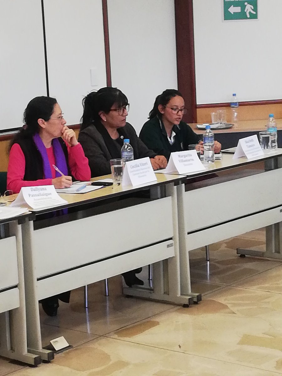 CseEcuador's tweet photo. Intervención de Skarleth Tamayo, Presidenta de la Federación de Estudiantes Secundarios del Ecuador https://t.co/lwct1QheNN
