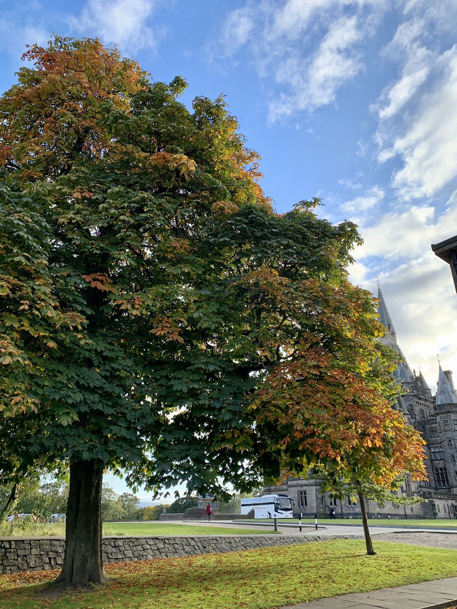 FettesMusic's tweet photo. Through one office window this afternoon, early Autumn colours; through another, Sofia E, Hector W and Felix A are rehearsing string trios. https://t.co/j6mv6amF4K