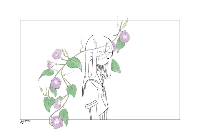 朝顔 