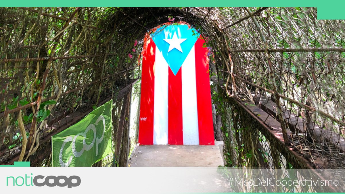 NotiCoopPR's tweet image. ¡Cooperativismo es solidaridad, es prosperidad, es el camino de Puerto Rico! 🇵🇷

#MesdelCooperativismo