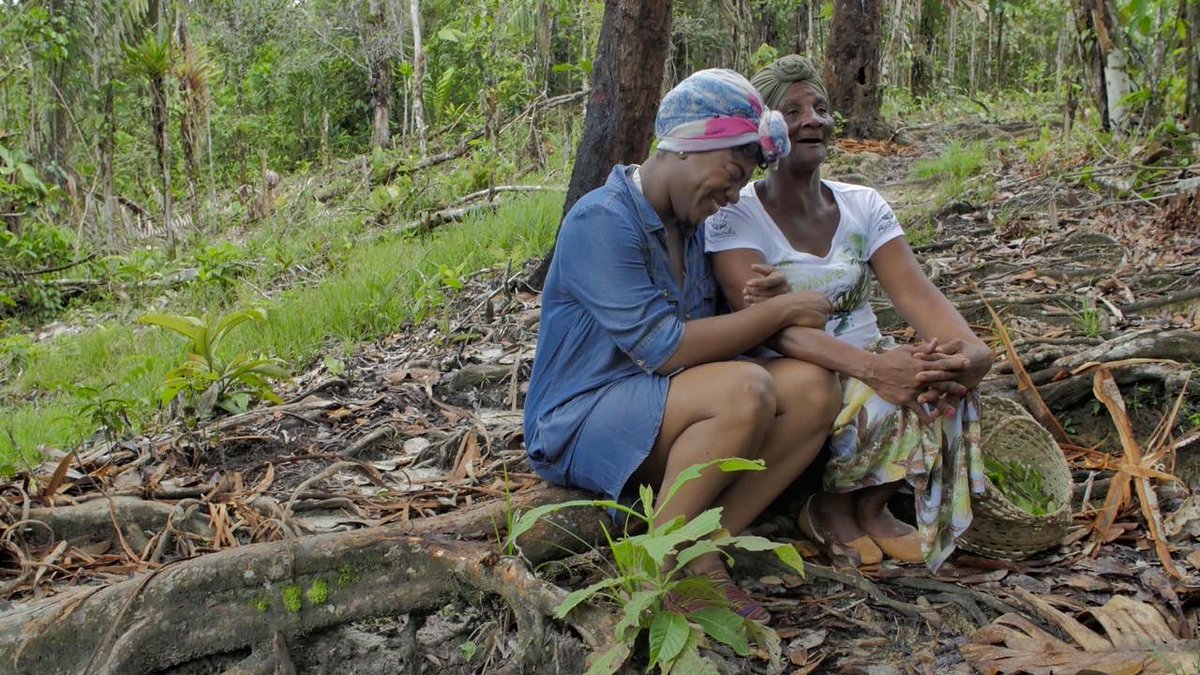 manosdeluzdoc's tweet photo. ”Los médicos deben aceptar nuestros saberes ancestrales como parte fundamental de nuestra cultura y sociedad...”

Maria Brígida Rentería, partera afro del Pacífico colombiano.

Seguimos en rodajes de @manosdeluzdoc en búsqueda de material para nuestro documental transmedia. https://t.co/WwS2zIhRRO