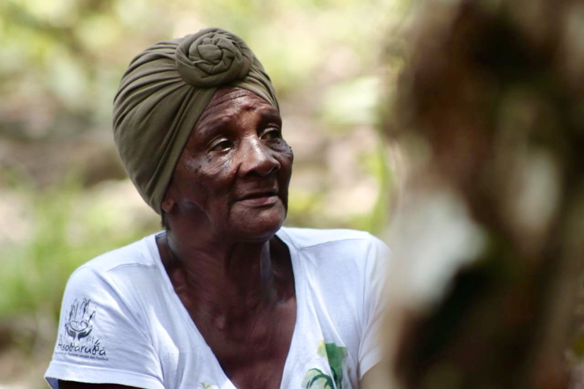 manosdeluzdoc's tweet photo. ”Los médicos deben aceptar nuestros saberes ancestrales como parte fundamental de nuestra cultura y sociedad...”

Maria Brígida Rentería, partera afro del Pacífico colombiano.

Seguimos en rodajes de @manosdeluzdoc en búsqueda de material para nuestro documental transmedia. https://t.co/WwS2zIhRRO