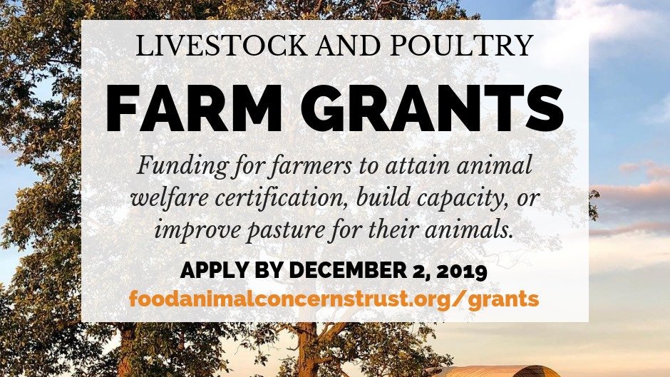 Food Animal Concerns Trust (FACT) tweet media