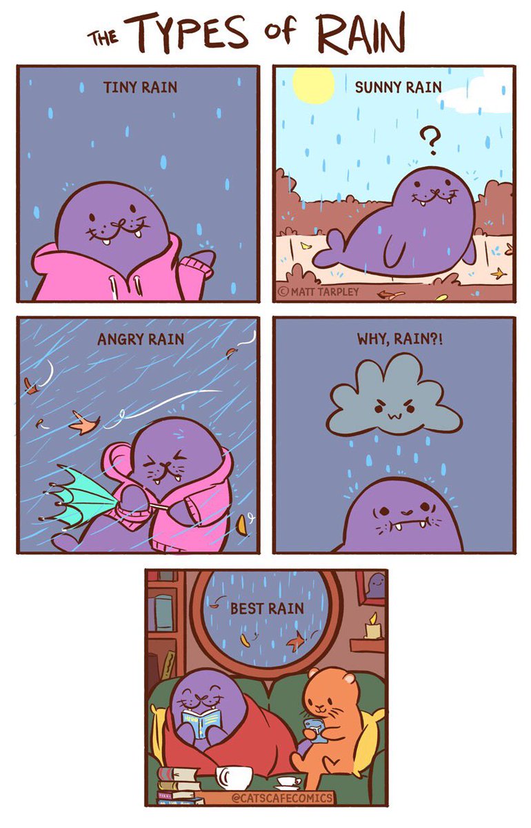 The Types of Rain! Which do you enjoy the most? 🌧 