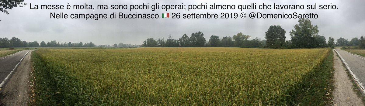 domenicosaretto's tweet photo. @rossanafrancio1 #2ottobre @PapaParole: Che lo Spirito faccia dei battezzati uomini e donne che
✅ annunciano il Vangelo per attirare gli altri non a sé ma a Cristo
✅ sanno fare spazio all’azione di Dio
✅ sanno rendere gli altri liberi e responsabili dinanzi al Signore
👉https://t.co/cIq2S9ylKl https://t.co/M99gVXgC7g