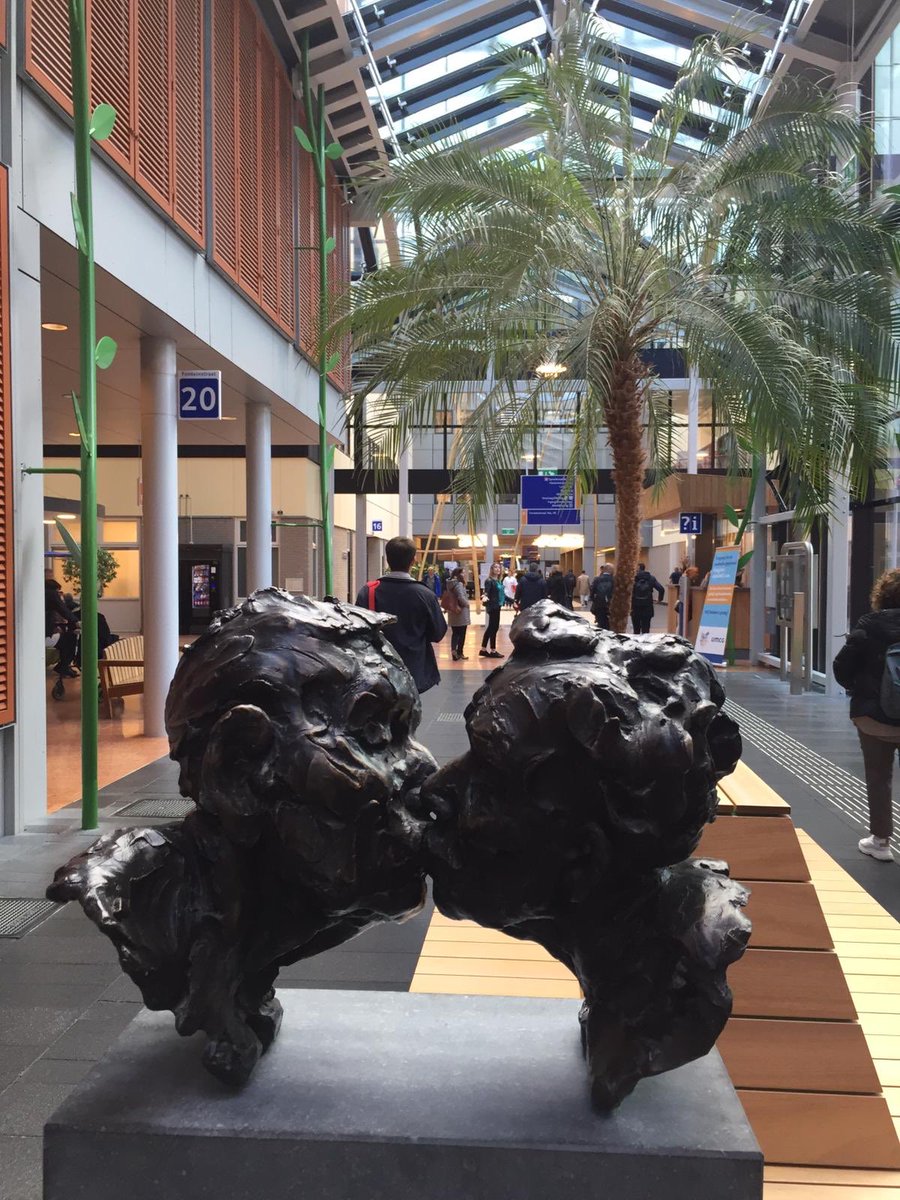 ClusterSaude's tweet image. Día 2 #LEXSaúdeHolanda visita a ERIBA y sus laboratorios de investigación sobre el envejecimiento. Conocimos el proyecto HANNN y el impresionante hospital UMCG. @CodigoMAIS @ECHAlliance @envitalifebook @InfocomS @SaraivaSenior @AfagaVigo @AtendoCalidade @sivsa_es @balidea @uvigo