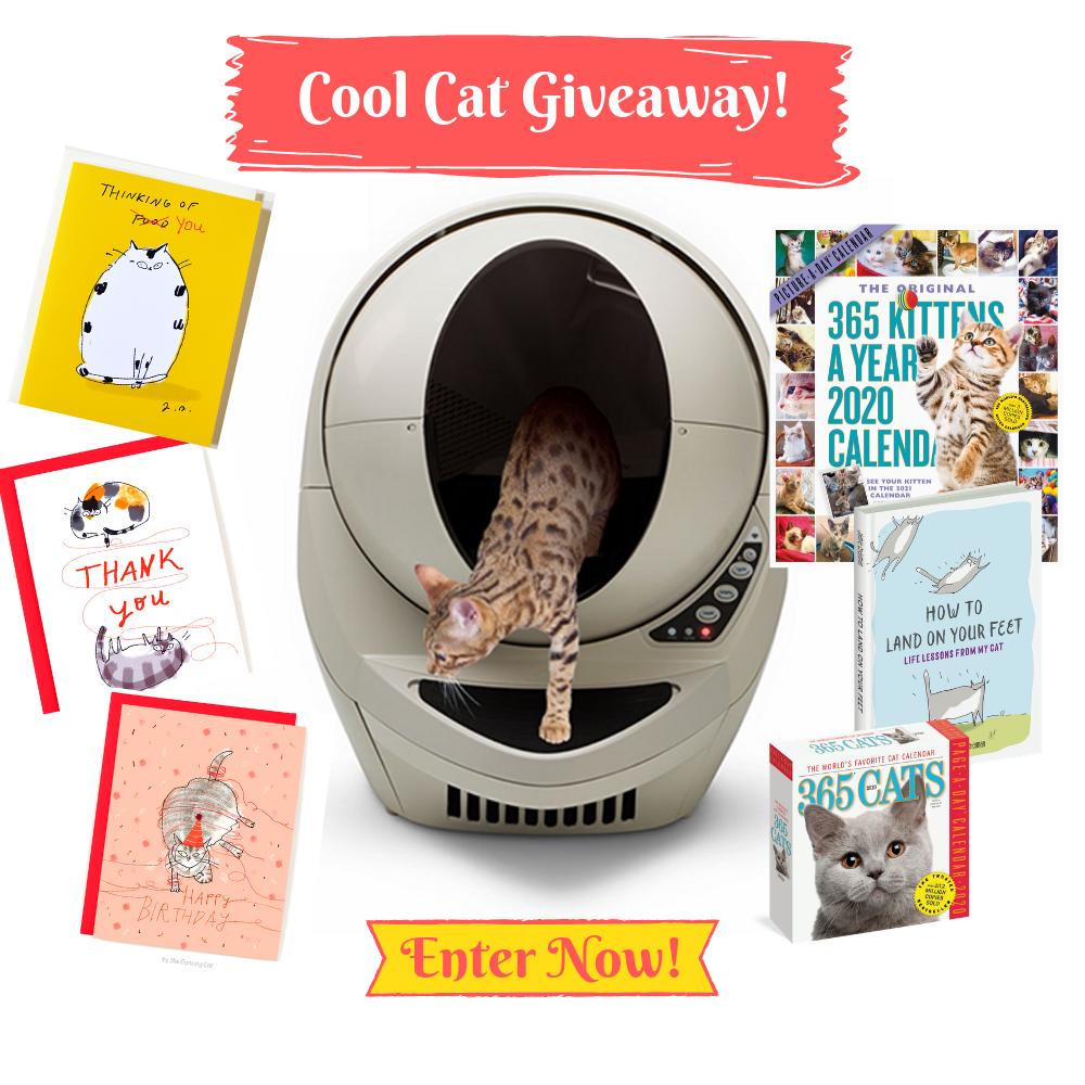 WorkmanPub's tweet photo. @PageADayCal has teamed up with @Litter_Robot, @experimentbooks, and illustrator Jamie Shelman (@hmstrjam) for a very special cat sweepstakes.😻Enter now to win this fabulous prize bundle! https://t.co/3TR0V5Lrwb https://t.co/FcWppDhcaE