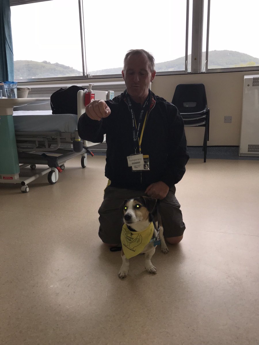 Rachel86302122's tweet photo. Our lovely therapy dog Trevor visiting our ward bringing happiness to patients and staff 😊 https://t.co/qBiN4eMBVc