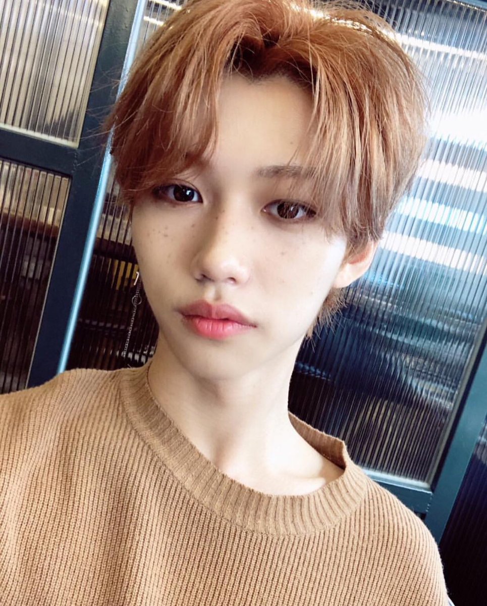 ALL pui IN•̀ㅅ•́🐥 on Twitter: "公式がそばかす需要を把握してきましたね( ・⊝・ ) #straykids #Felix  #そばかすピリちゃん… "