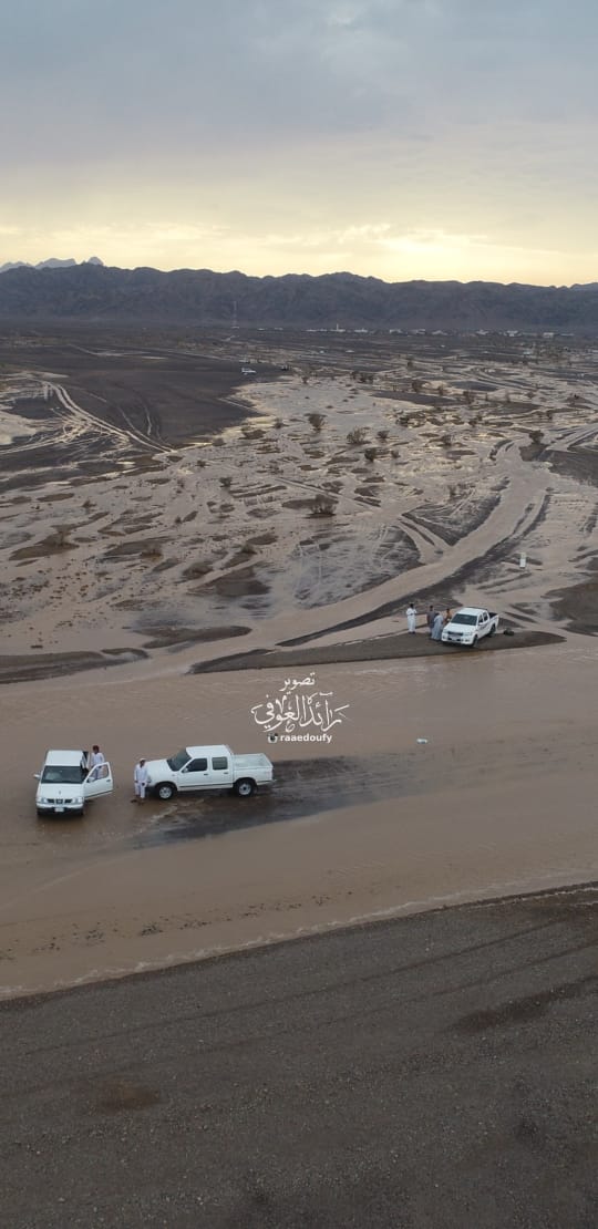 مكشات الحجاز 🌿⛈️🌱 tweet media