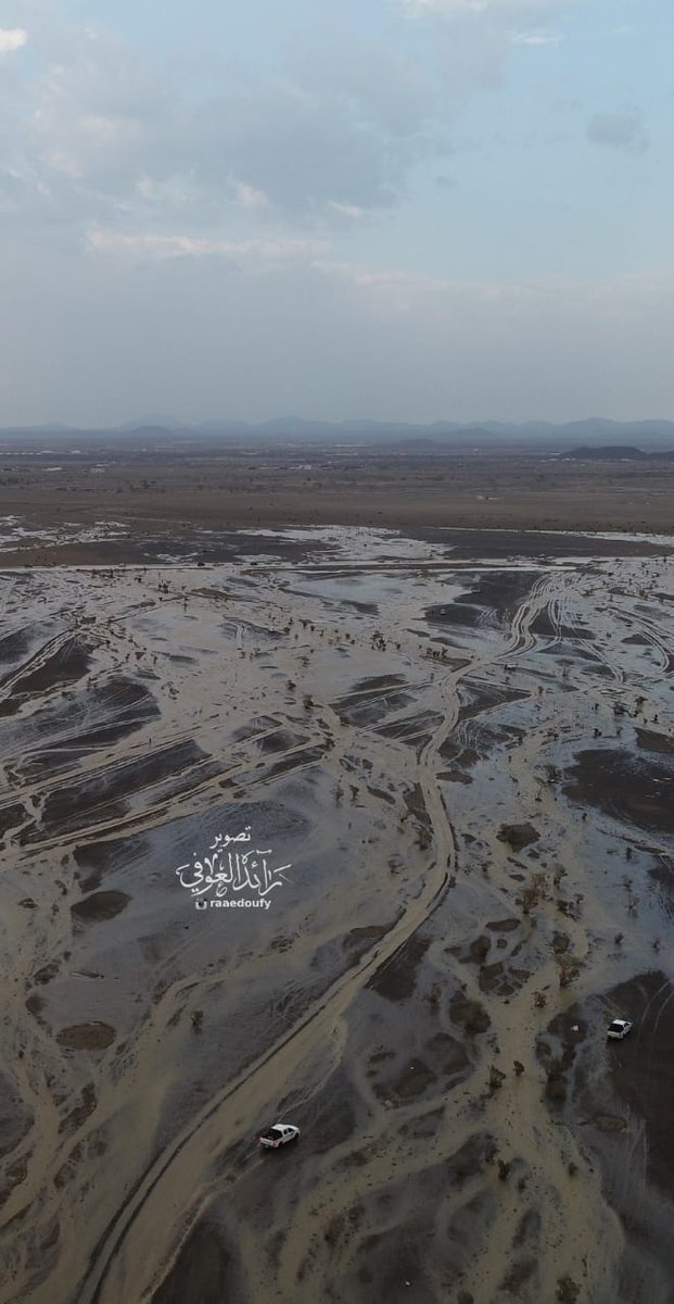 مكشات الحجاز 🌿⛈️🌱 tweet media