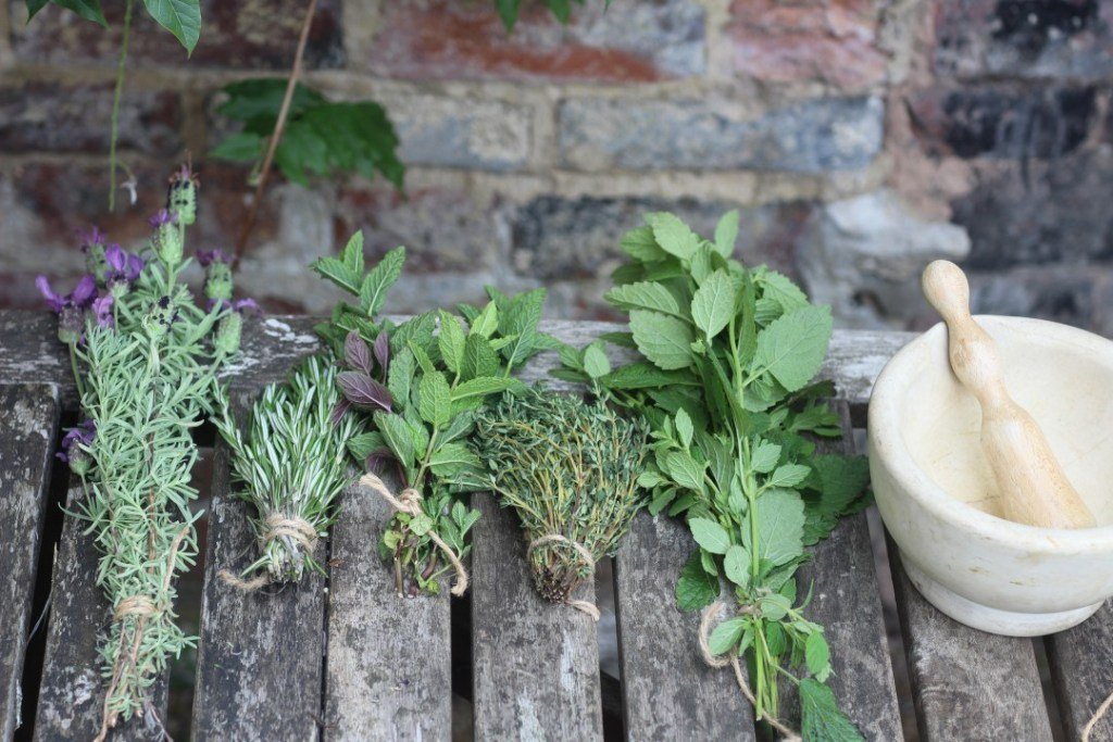 Join #Herbalist 🌿Heather Ware to learn how #herbs can be used for #health in our everyday lives. Take part in a blind herb testing exercise, a #herbal #tea remedy making session and even have a go at using herbs to make your own #natural body cream tiny.cc/Herbalism