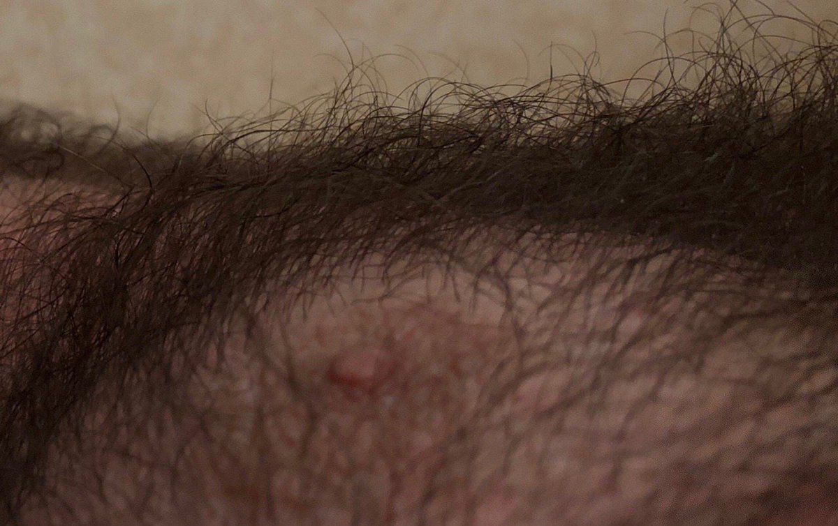 chest_guy's tweet photo. more hairyness #hairy #man #chect #daddy https://t.co/nRLyLwvSnY